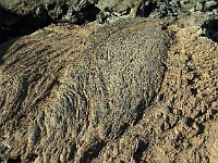 Ropy-looking pahoehoe lava