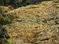Ropy pahoehoe lava