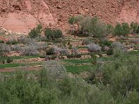 Drive through the Dades Valley  Cultivated fields in a band along the riverside