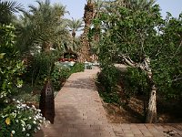 Agdz  Garden of Dar Kamar Guest House