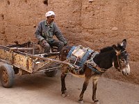 Agdz  Man and mule cart in Agdz ksar