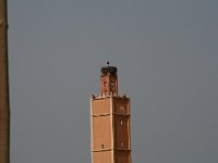 Marrakesh to Fez  Another stork nest on a minaret