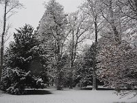 sj19 012310251 k  Le Parc Réaux en gris et blanc, les couleurs de l'hiver.
