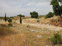 Didyma  Remains of a Roman road
