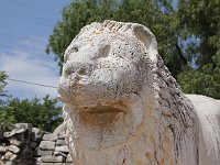 Didyma  Stone lion