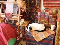 Selçuk  Meanwhile, back in  Sel�uk, John met a Belgian lady who made carpets for doll houses (tiny loom on left) and who was also a cat lover