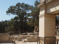 Knossos is surrounded on the  sides by a pine forest.  gr16 091711201 s