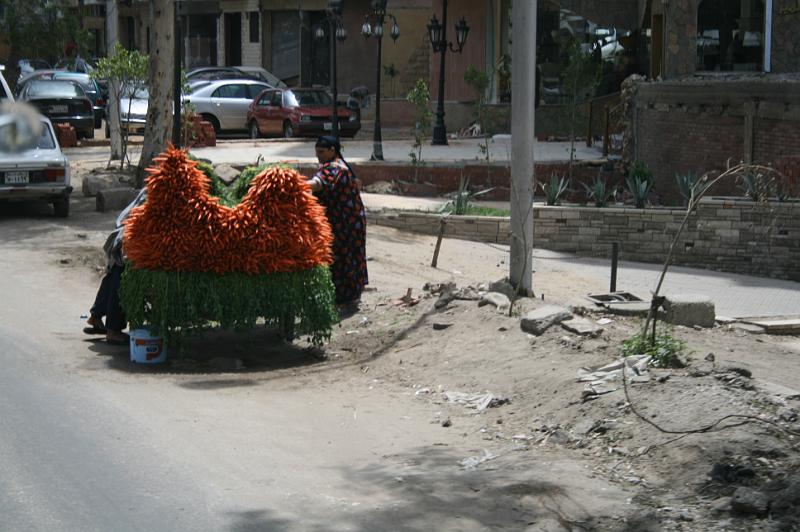 eg07_042712391_j.jpg - Vegetable salesman on the way to Saqqara