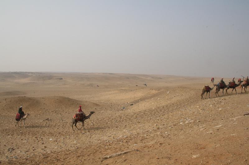 eg07_042708391_j.jpg - Camel riders in the desert