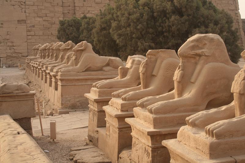 eg07_042907300_j.jpg - Ram-headed sphinxes