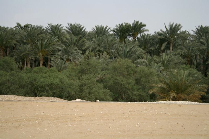 eg07_042716201_j_a.jpg - Desert sand to Nile-watered green