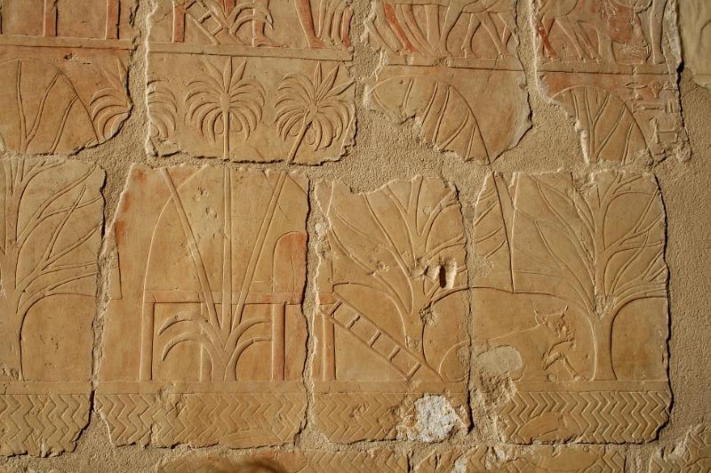 eg07_050407480_j_a.jpg - Relief of Nubian villages with palm trees