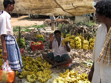 Banana wallah