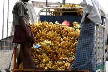 Load of bananas