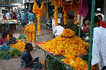 Market - marigolds