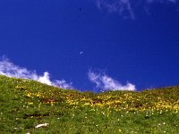 Yellow, green, blue -- and moon  sj93 50a031