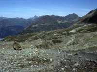 The path back, seen from the hut.  sj92 48a049