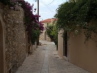 Flowers along streets paved with stone  gr16 091916060 j