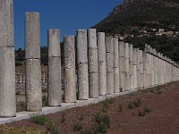 The 75 eastern stoa columns.  gr18 092411210 k