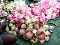 Madurai flower market