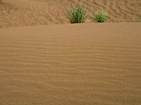 Erg Chigaga  Sand
