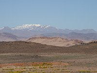 From desert to Marrakesh  And what colors, from the yellow-green foreground vegetation to the gray and white peaks of the Haut Atlas