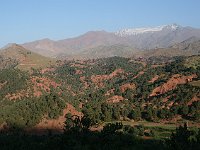From desert to Marrakesh  Above, the snows of the High Atlas