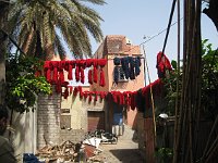 Marrakesh  Yarn drying at the dyers' souk