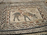Volubilis  Roman mosaic of a fool, riding backwards on a donkey