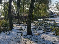 sj19 111510100 t  La neige lourde a fait tomber beaucoup de branches d'arbre.
