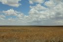 The magnificent, vast Serengeti grassland. Everything is so flat, it seems like the air is sandwiched in between the grass and the clouds.