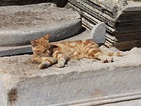 Ephesus  Comfort, relaxing in the sun's warmth