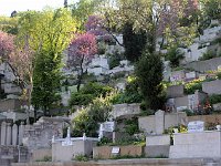 Istanbul - bus tour  Hillside graves near Eyüp, as far north as the bus tour went