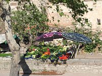 Istanbul - bus tour  Fresh produce for sale from gardens along the wall