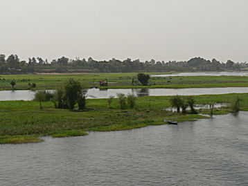 Rives du Nile