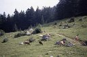 sj80_18a075