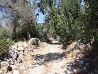 John set out to walk up to the monastery, but got on the wrong path.  gr16 092710550 j
