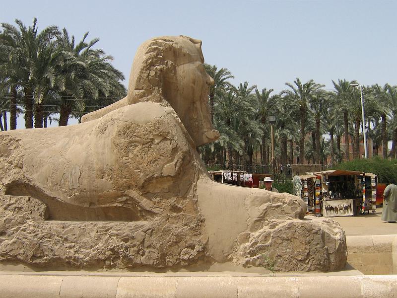 eg07_042714410_s.jpg - Sphinx in Memphis Museum