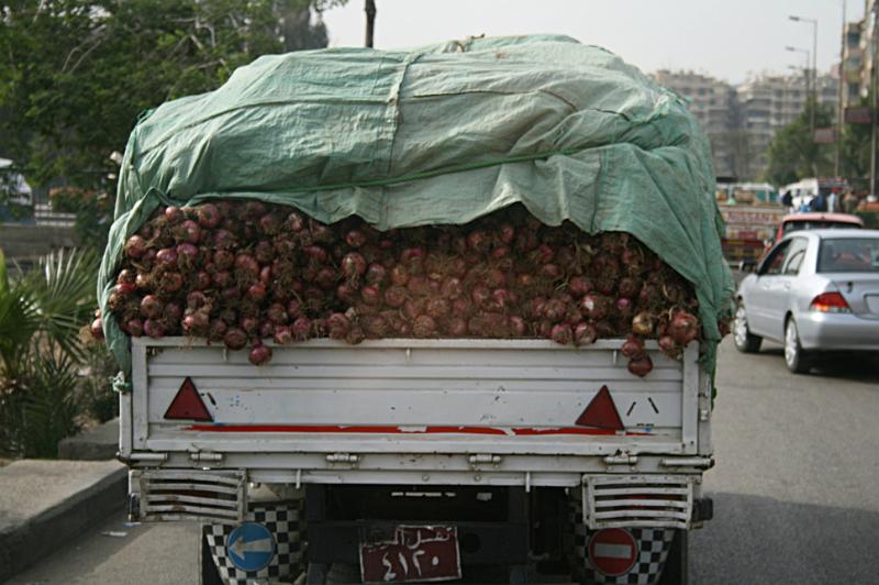 eg07_042716510_j_a.jpg - A truckload of onions