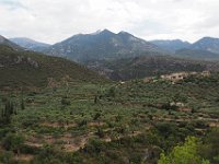 Olive trees at the foot of the Taygetos Mountains.  gr18 092611260 k