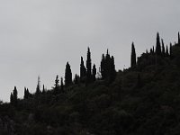 We saw these cypress trees all over. They are really characteristic of this part of the world.  gr18 092611390 k