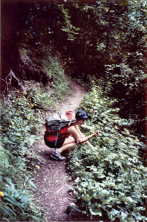 br93_bugmi_siv_a.jpg - Siv on Bügmiweg in 1993, which is usually our first walk when we worlk on getting in shape for the big Wanderungen.