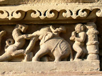 Elephant battling a lion