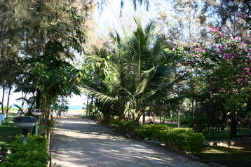 Path to beach